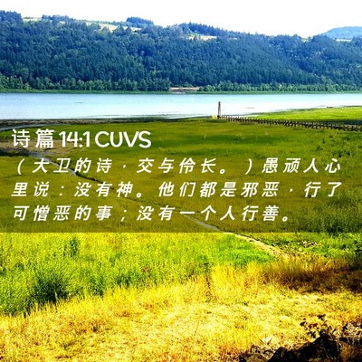 Picture 02 - 诗 篇 14:1 CUVS - （ 大 卫 的 诗 ， 交 与 伶 长 。 ） - Bible Verse Picture