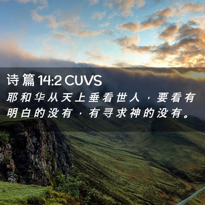 Picture 02 - 诗 篇 14:2 CUVS - 耶 和 华 从 天 上 垂 看 世 人 ， 要 - Bible Verse Picture