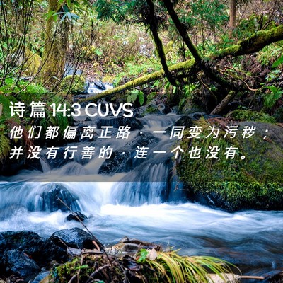 Picture 02 - 诗 篇 14:3 CUVS - 他 们 都 偏 离 正 路 ， 一 同 变 为 - Bible Verse Picture