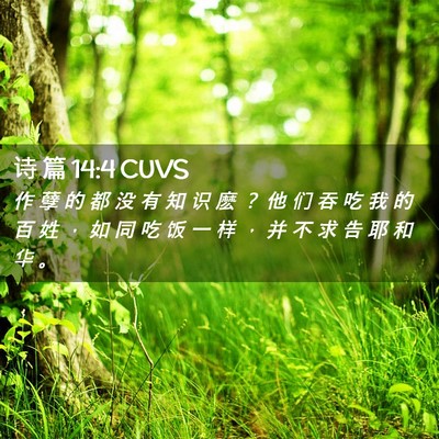 Picture 02 - 诗 篇 14:4 CUVS - 作 孽 的 都 没 有 知 识 麽 ？ 他 们 - Bible Verse Picture