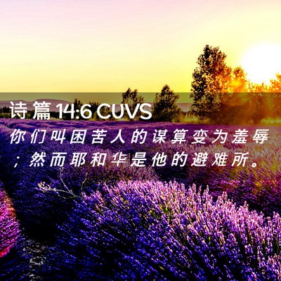 Picture 02 - 诗 篇 14:6 CUVS - 你 们 叫 困 苦 人 的 谋 算 变 为 羞 - Bible Verse Picture