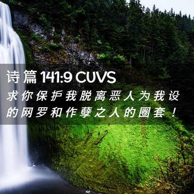 Picture 02 - 诗 篇 141:9 CUVS - 求 你 保 护 我 脱 离 恶 人 为 我 设 - Bible Verse Picture