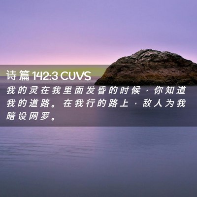 Picture 02 - 诗 篇 142:3 CUVS - 我 的 灵 在 我 里 面 发 昏 的 时 候 - Bible Verse Picture