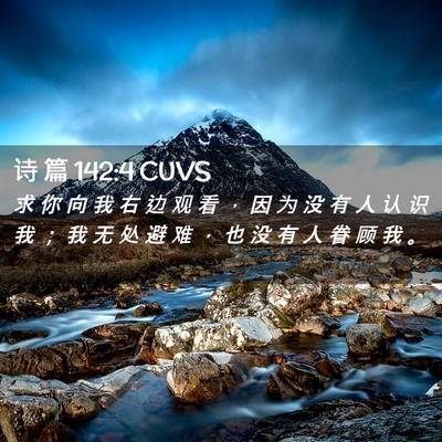 Picture 02 - 诗 篇 142:4 CUVS - 求 你 向 我 右 边 观 看 ， 因 为 没 - Bible Verse Picture
