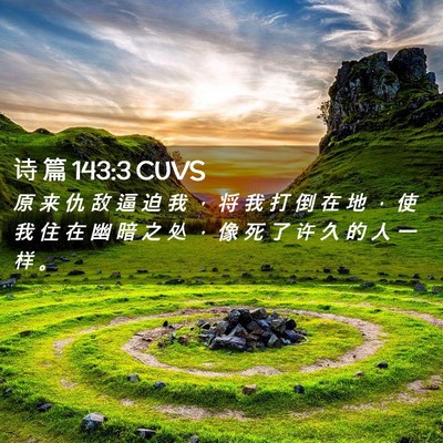 Picture 02 - 诗 篇 143:3 CUVS - 原 来 仇 敌 逼 迫 我 ， 将 我 打 倒 - Bible Verse Picture