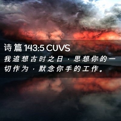 Picture 02 - 诗 篇 143:5 CUVS - 我 追 想 古 时 之 日 ， 思 想 你 的 - Bible Verse Picture