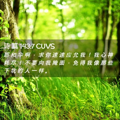Picture 02 - 诗 篇 143:7 CUVS - 耶 和 华 啊 ， 求 你 速 速 应 允 我 - Bible Verse Picture