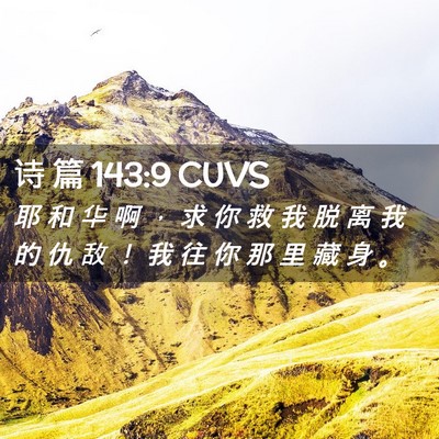 Picture 02 - 诗 篇 143:9 CUVS - 耶 和 华 啊 ， 求 你 救 我 脱 离 我 - Bible Verse Picture