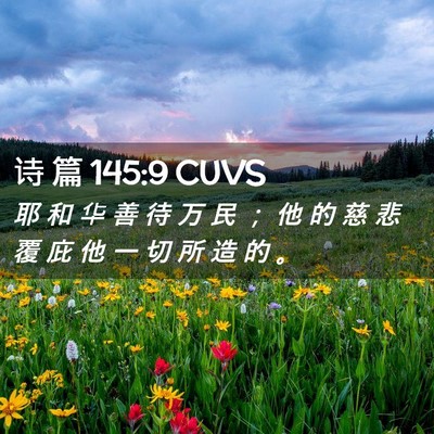 Picture 02 - 诗 篇 145:9 CUVS - 耶 和 华 善 待 万 民 ； 他 的 慈 悲 - Bible Verse Picture