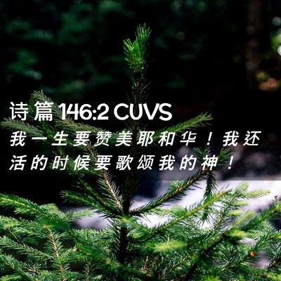 Picture 02 - 诗 篇 146:2 CUVS - 我 一 生 要 赞 美 耶 和 华 ！ 我 还 - Bible Verse Picture