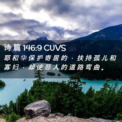 Picture 02 - 诗 篇 146:9 CUVS - 耶 和 华 保 护 寄 居 的 ， 扶 持 孤 - Bible Verse Picture