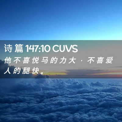 Picture 02 - 诗 篇 147:10 CUVS - 他 不 喜 悦 马 的 力 大 ， 不 喜 爱 - Bible Verse Picture