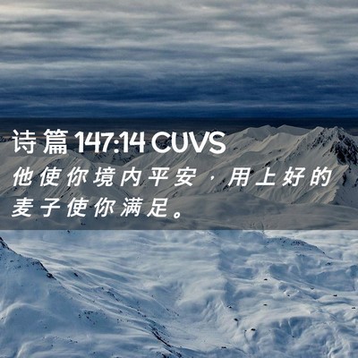 Picture 02 - 诗 篇 147:14 CUVS - 他 使 你 境 内 平 安 ， 用 上 好 的 - Bible Verse Picture