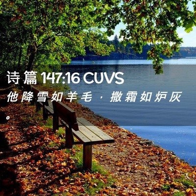 Picture 02 - 诗 篇 147:16 CUVS - 他 降 雪 如 羊 毛 ， 撒 霜 如 炉 灰 - Bible Verse Picture
