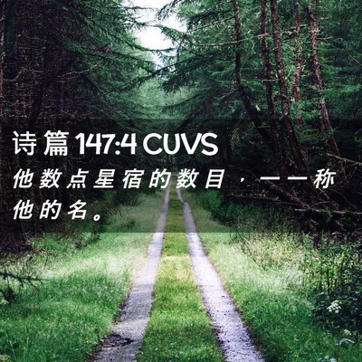 Picture 02 - 诗 篇 147:4 CUVS - 他 数 点 星 宿 的 数 目 ， 一 一 称 - Bible Verse Picture