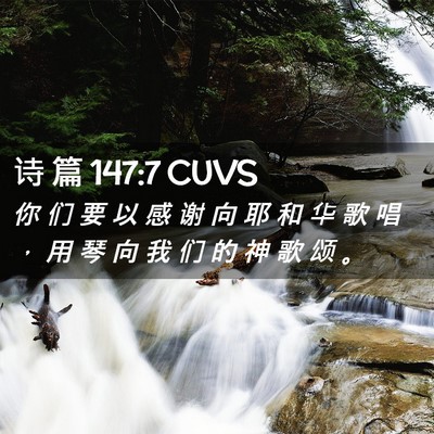Picture 02 - 诗 篇 147:7 CUVS - 你 们 要 以 感 谢 向 耶 和 华 歌 唱 - Bible Verse Picture