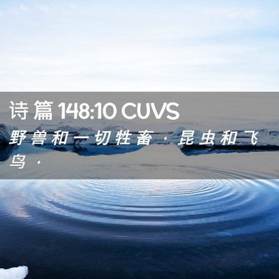 Picture 02 - 诗 篇 148:10 CUVS - 野 兽 和 一 切 牲 畜 ， 昆 虫 和 飞 - Bible Verse Picture