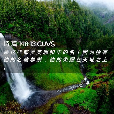 Picture 02 - 诗 篇 148:13 CUVS - 愿 这 些 都 赞 美 耶 和 华 的 名 ！ - Bible Verse Picture
