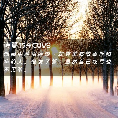 Picture 02 - 诗 篇 15:4 CUVS - 他 眼 中 藐 视 匪 类 ， 却 尊 重 那 - Bible Verse Picture