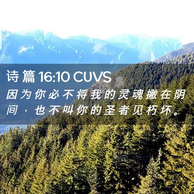 Picture 02 - 诗 篇 16:10 CUVS - 因 为 你 必 不 将 我 的 灵 魂 撇 在 - Bible Verse Picture