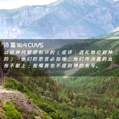 Picture 02 - 诗 篇 16:4 CUVS - 以 别 神 代 替 耶 和 华 的 （ 或 译 - Bible Verse Picture