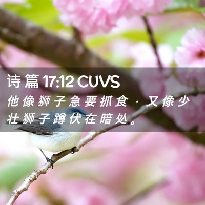 Picture 02 - 诗 篇 17:12 CUVS - 他 像 狮 子 急 要 抓 食 ， 又 像 少 - Bible Verse Picture
