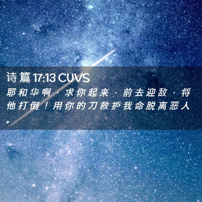 Picture 02 - 诗 篇 17:13 CUVS - 耶 和 华 啊 ， 求 你 起 来 ， 前 去 - Bible Verse Picture