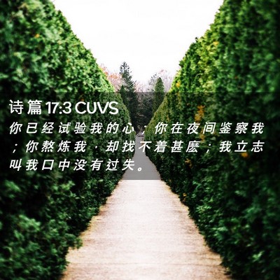 Picture 02 - 诗 篇 17:3 CUVS - 你 已 经 试 验 我 的 心 ； 你 在 夜 - Bible Verse Picture
