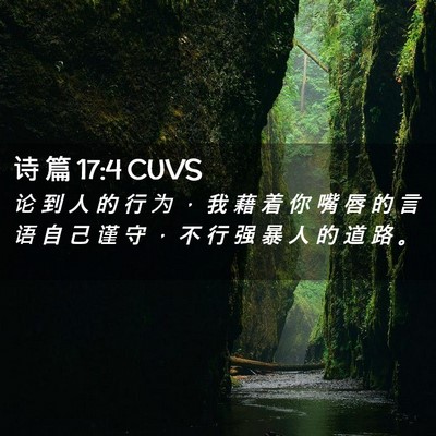 Picture 02 - 诗 篇 17:4 CUVS - 论 到 人 的 行 为 ， 我 藉 着 你 嘴 - Bible Verse Picture