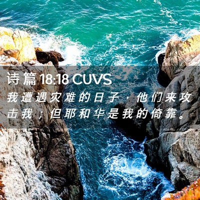 Picture 02 - 诗 篇 18:18 CUVS - 我 遭 遇 灾 难 的 日 子 ， 他 们 来 - Bible Verse Picture