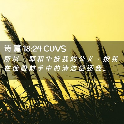 Picture 02 - 诗 篇 18:24 CUVS - 所 以 ， 耶 和 华 按 我 的 公 义 ， - Bible Verse Picture