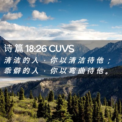Picture 02 - 诗 篇 18:26 CUVS - 清 洁 的 人 ， 你 以 清 洁 待 他 ； - Bible Verse Picture