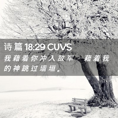 Picture 02 - 诗 篇 18:29 CUVS - 我 藉 着 你 冲 入 敌 军 ， 藉 着 我 - Bible Verse Picture