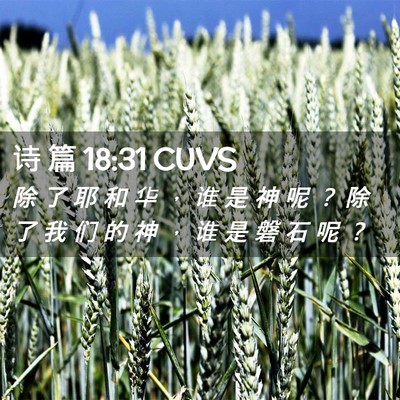 Picture 02 - 诗 篇 18:31 CUVS - 除 了 耶 和 华 ， 谁 是 神 呢 ？ 除 - Bible Verse Picture