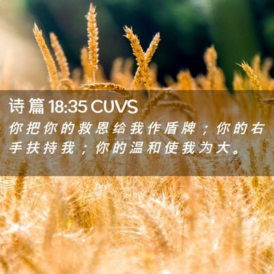 Picture 02 - 诗 篇 18:35 CUVS - 你 把 你 的 救 恩 给 我 作 盾 牌 ； - Bible Verse Picture