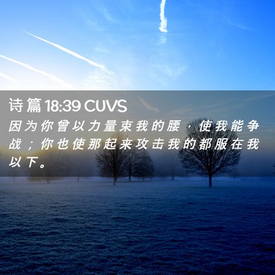 Picture 02 - 诗 篇 18:39 CUVS - 因 为 你 曾 以 力 量 束 我 的 腰 ， - Bible Verse Picture