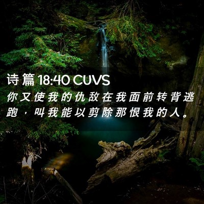 Picture 02 - 诗 篇 18:40 CUVS - 你 又 使 我 的 仇 敌 在 我 面 前 转 - Bible Verse Picture