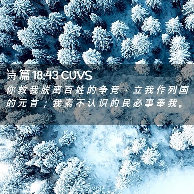 Picture 02 - 诗 篇 18:43 CUVS - 你 救 我 脱 离 百 姓 的 争 竞 ， 立 - Bible Verse Picture