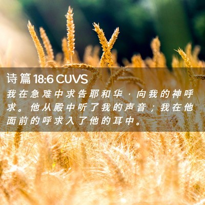 Picture 02 - 诗 篇 18:6 CUVS - 我 在 急 难 中 求 告 耶 和 华 ， 向 - Bible Verse Picture