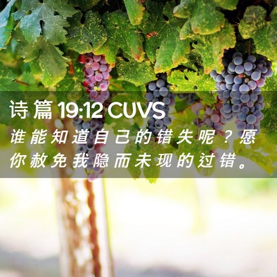 Picture 02 - 诗 篇 19:12 CUVS - 谁 能 知 道 自 己 的 错 失 呢 ？ 愿 - Bible Verse Picture