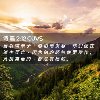 Picture 02 - 诗 篇 2:12 CUVS - 当 以 嘴 亲 子 ， 恐 怕 他 发 怒 ， - Bible Verse Picture