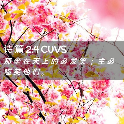 Picture 02 - 诗 篇 2:4 CUVS - 那 坐 在 天 上 的 必 发 笑 ； 主 必 - Bible Verse Picture