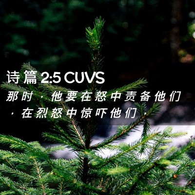 Picture 02 - 诗 篇 2:5 CUVS - 那 时 ， 他 要 在 怒 中 责 备 他 们 - Bible Verse Picture
