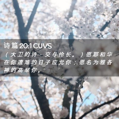 Picture 02 - 诗 篇 20:1 CUVS - （ 大 卫 的 诗 ， 交 与 伶 长 。 ） - Bible Verse Picture