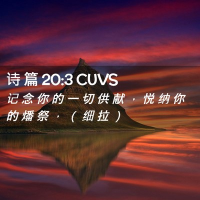 Picture 02 - 诗 篇 20:3 CUVS - 记 念 你 的 一 切 供 献 ， 悦 纳 你 - Bible Verse Picture