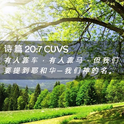 Picture 02 - 诗 篇 20:7 CUVS - 有 人 靠 车 ， 有 人 靠 马 ， 但 我 - Bible Verse Picture