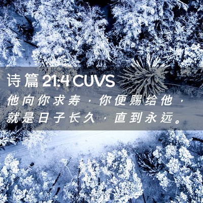 Picture 02 - 诗 篇 21:4 CUVS - 他 向 你 求 寿 ， 你 便 赐 给 他 ， - Bible Verse Picture