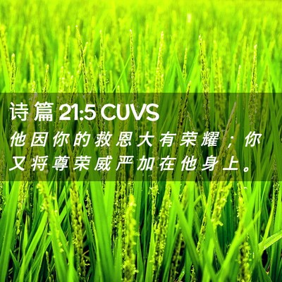 Picture 02 - 诗 篇 21:5 CUVS - 他 因 你 的 救 恩 大 有 荣 耀 ； 你 - Bible Verse Picture