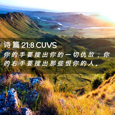 Picture 02 - 诗 篇 21:8 CUVS - 你 的 手 要 搜 出 你 的 一 切 仇 敌 - Bible Verse Picture