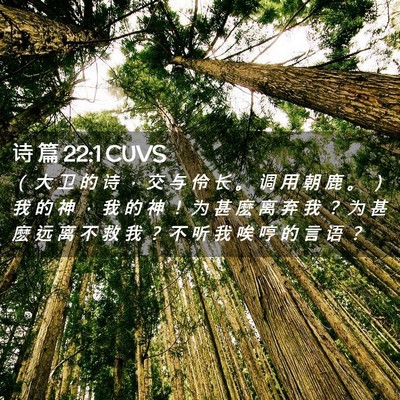 Picture 02 - 诗 篇 22:1 CUVS - （ 大 卫 的 诗 ， 交 与 伶 长 。 调 - Bible Verse Picture